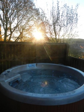 Silver Birch Lodge with Hot Tub